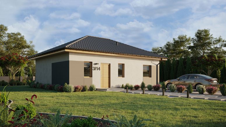 ERDOL 1 XL - Version Rechts (Wohnzimmer auf der rechten Seite) - Walmdach ohne ausgebautem Dachboden - Dachneigung 25 Grad - keine Dachfenster - Standard - Styropor, Netz, Kleber - Winchester