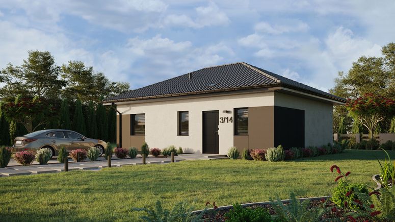 ERDOL 1 XL - Version Links (Wohnzimmer auf der linken Seite) - Walmdach ohne ausgebautem Dachboden - Dachneigung 25 Grad - Starres Tunneldachfenster - Standard - Styropor, Netz, Kleber - Anthrazit