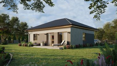 ERDOL 1 XL - Version Links (Wohnzimmer auf der linken Seite) - Walmdach ohne ausgebautem Dachboden - Dachneigung 25 Grad - keine Dachfenster - Standard - Styropor, Netz, Kleber - Winchester