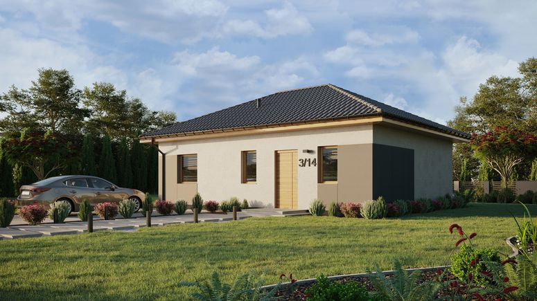 ERDOL 1 XL - Version Links (Wohnzimmer auf der linken Seite) - Walmdach ohne ausgebautem Dachboden - Dachneigung 25 Grad - keine Dachfenster - Standard - Styropor, Netz, Kleber - Winchester