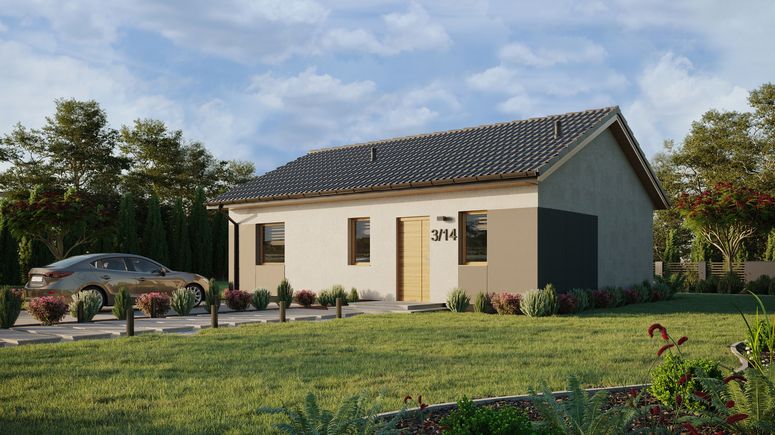 ERDOL 1 XL - Version Links (Wohnzimmer auf der linken Seite) - Satteldach ohne ausgebautem Dachboden -Dachneigung  25 Grad - keine Dachfenster - Standard - Styropor, Netz, Kleber - Winchester - Ohne