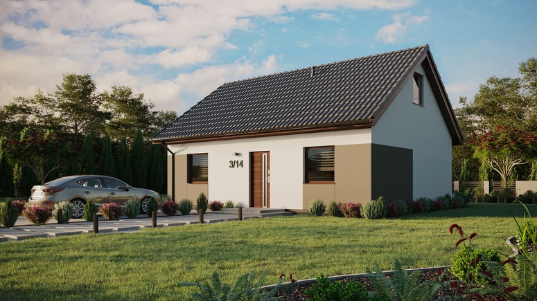 ERDOL 2 - Version Links (Wohnzimmer auf der linken Seite) - Satteldach mit ausgebautem Dachboden -Dachneigung  35 Grad - keine Dachfenster - Standard - Styropor, Netz, Kleber - Nusbaum - Ohne