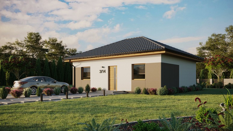 ERDOL 2 - Version Links (Wohnzimmer auf der linken Seite) - Walmdach ohne ausgebautem Dachboden - Dachneigung 25 Grad - keine Dachfenster - Standard - Styropor, Netz, Kleber - Winchester