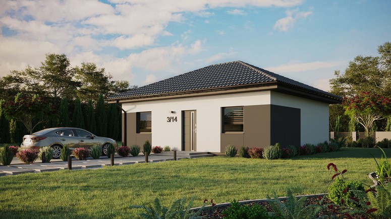 ERDOL 2 - Version Links (Wohnzimmer auf der linken Seite) - Walmdach ohne ausgebautem Dachboden - Dachneigung 25 Grad - keine Dachfenster - Standard - Styropor, Netz, Kleber - Anthrazit