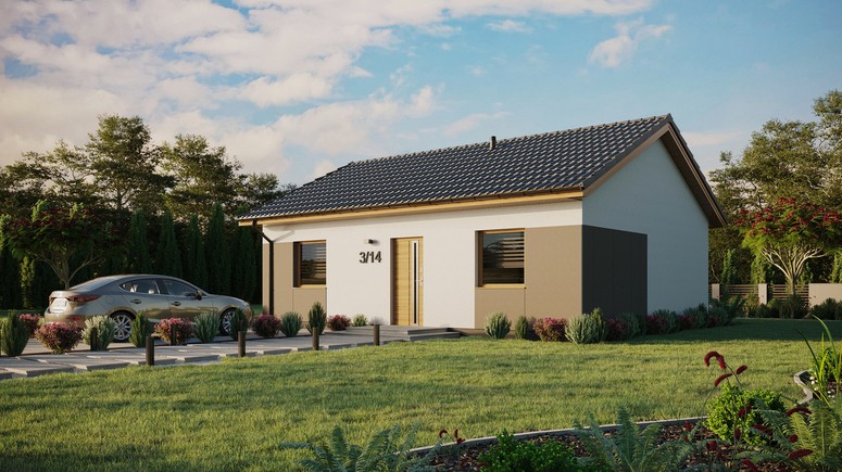 ERDOL 2 - Version Links (Wohnzimmer auf der linken Seite) - Satteldach ohne ausgebautem Dachboden -Dachneigung  25 Grad - keine Dachfenster - Standard - Styropor, Netz, Kleber - Winchester - Ohne