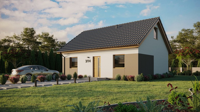 ERDOL 2 - Version Links (Wohnzimmer auf der linken Seite) - Satteldach mit ausgebautem Dachboden -Dachneigung  35 Grad - keine Dachfenster - Standard - Styropor, Netz, Kleber - Winchester - Ohne