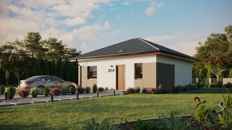 ERDOL 1 - Version Links (Wohnzimmer auf der linken Seite) - Walmdach ohne ausgebautem Dachboden - Dachneigung 25 Grad - Starres Tunneldachfenster - Standard - Styropor, Netz, Kleber - Nusbaum