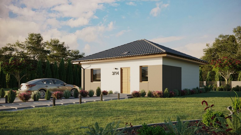 ERDOL 1 - Version Links (Wohnzimmer auf der linken Seite) - Walmdach ohne ausgebautem Dachboden - Dachneigung 25 Grad - Starres Tunneldachfenster - Standard - Styropor, Netz, Kleber - Winchester